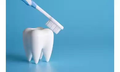 Her Gün Diş Bakımınıza Neden Önem Göstermelisiniz?